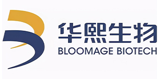 999策略白菜手机论坛