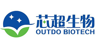 999策略白菜手机论坛