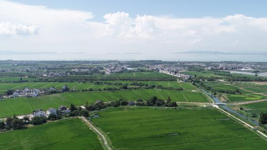 999策略白菜手机论坛