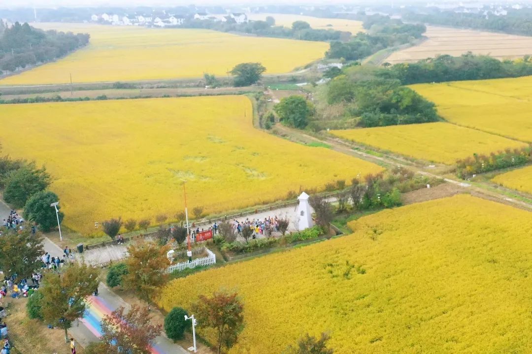 微信图片_20231124163930.jpg 微信图片_20231124163930.jpg