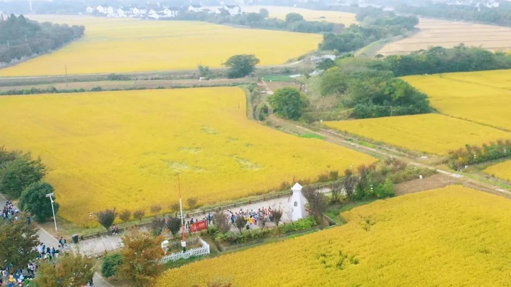 999策略白菜手机论坛