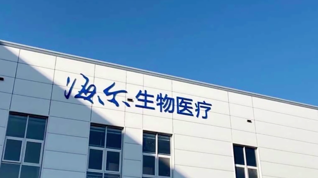 999策略白菜手机论坛