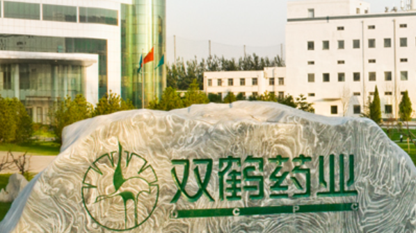 999策略白菜手机论坛