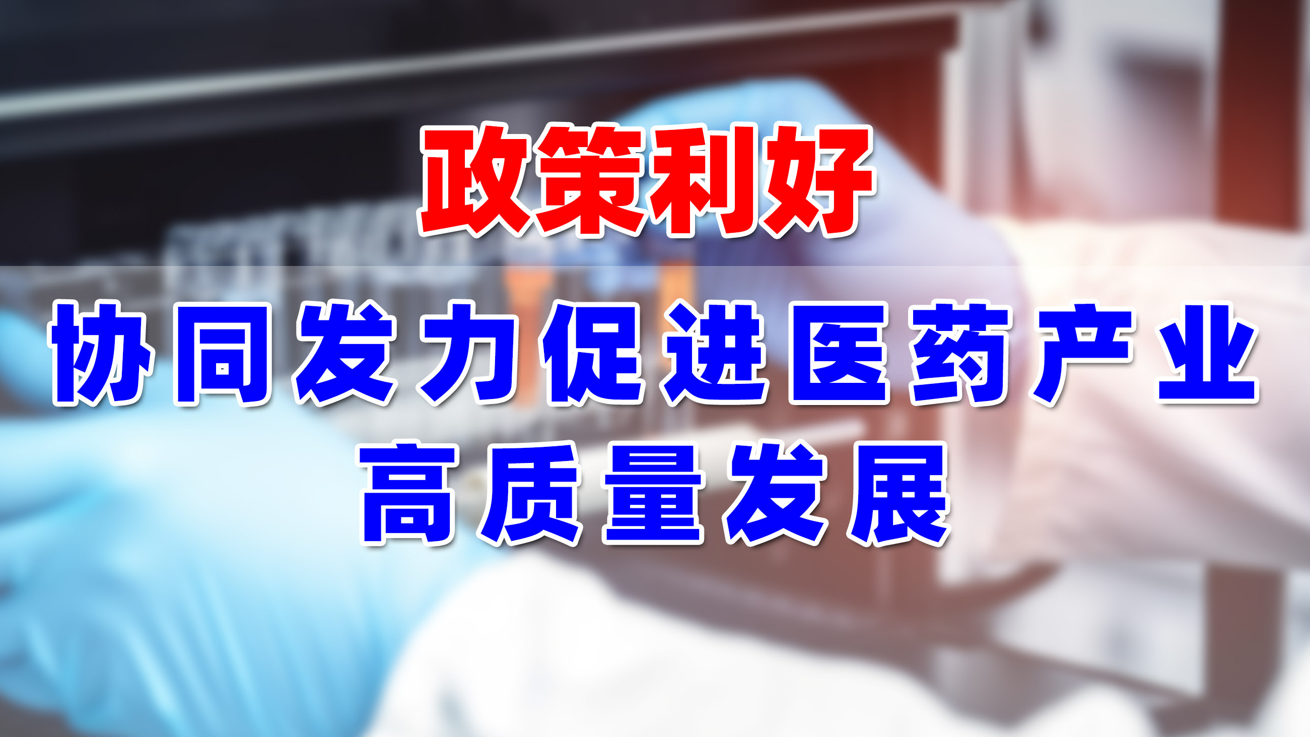 999策略白菜手机论坛