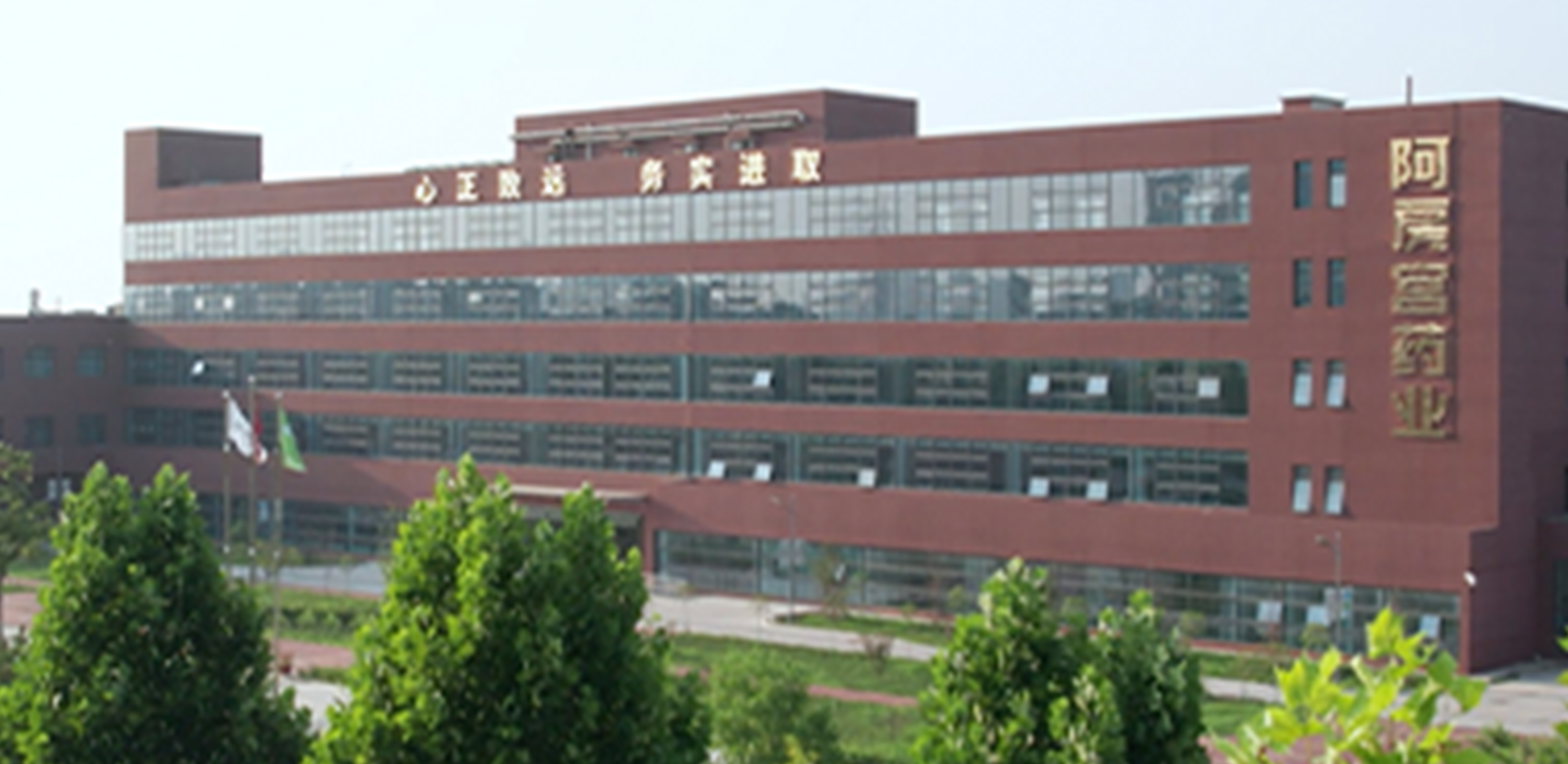 999策略白菜手机论坛