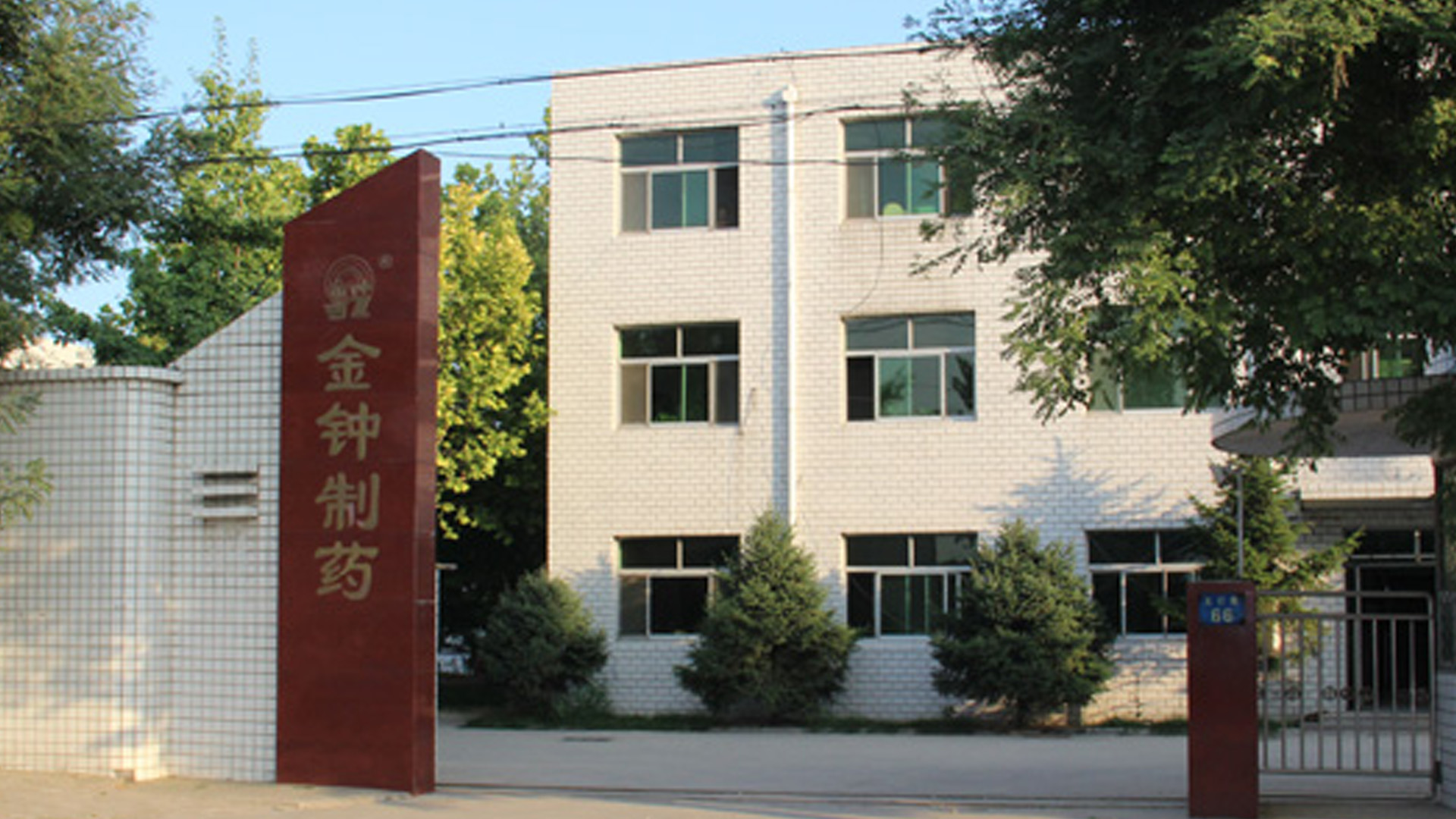 999策略白菜手机论坛